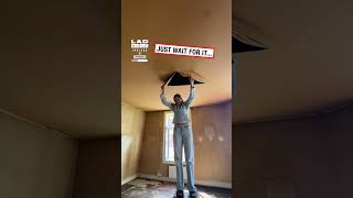 You Won’t Believe What the Previous Tenants Covered Up! 