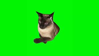 Cat Listening To Music/Cat With Earbuds Meme (Green Screen)