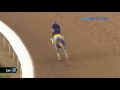 Lani breezes 4.27