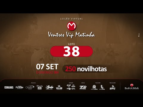 LOTE 38