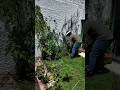 Arreglando un poco este desorden