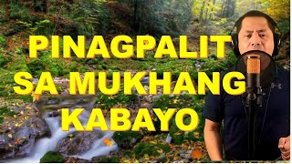 PINAGPALIT SA MUKHANG KABAYO (Parody Song) - Alexander Barut