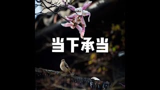 201303 当下承当10682