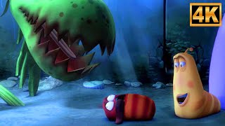 larv insectivorous plant funny cartoon kids