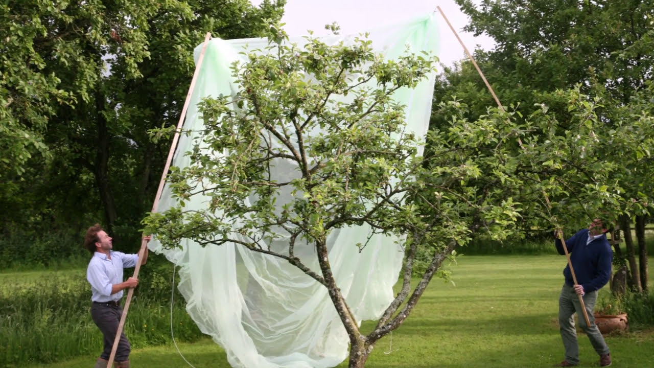 Haxnicks Fruit Tree Netting Cover - organic protection ...