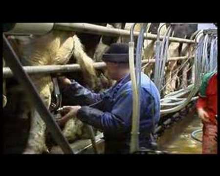 Documentary: Milk Prices