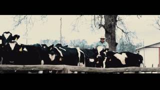 Sustentabilidad Consorcio Lechero