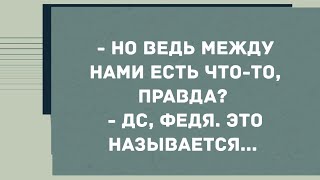 - Но ведь между нами есть что-то, правда? Смех! Юмор! Позитив!