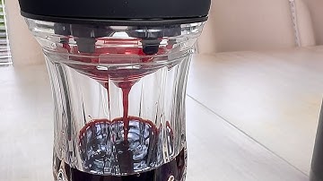 Wine filter and purifier