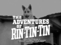 The Adventures of Rin Tin Tin 1954 - 1959 Opening and Closing Theme