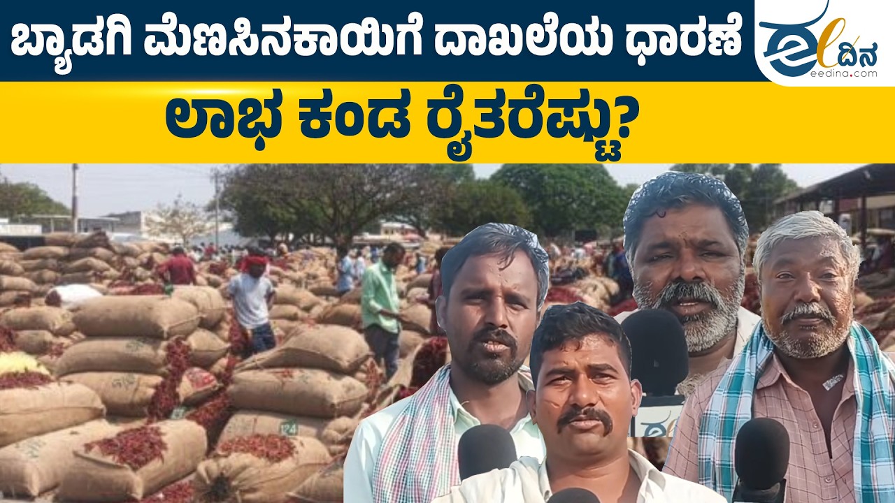 ಬ್ಯಾಡಗಿ ಮೆಣಸಿನಕಾಯಿಗೆ ದಾಖಲೆ ಬೆಲೆ ದಲ್ಲಾಳಿಗಳ ಪಾಲಾಯ್ತ ಲಾಭ? | ByadgiChill | Haveri