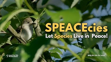 AdDUvocacy PSA: SPEACEcies: Let Species Live in Peace! - SDG15