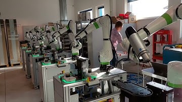 Fanuc CRX