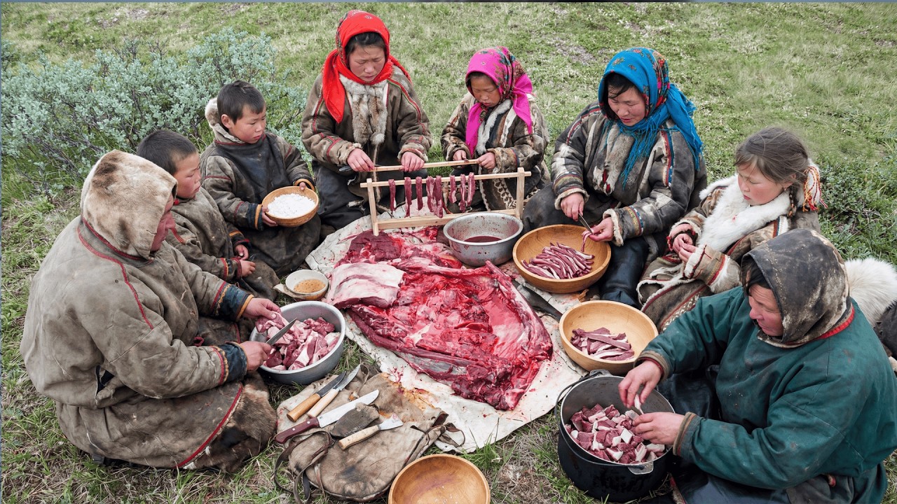 Что происходит с организмом, когда ненцы перестают есть сырое мясо? | Жизнь ненцев