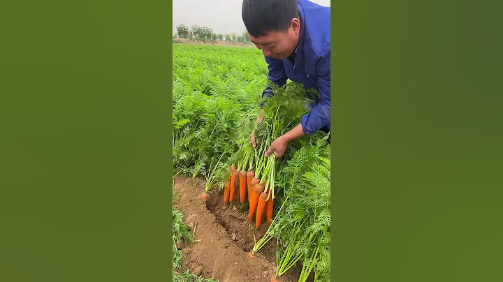 This farmer shows off the fruits of his labor #agriculture