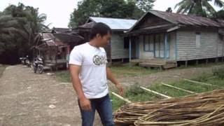 DownloadAPIS PAREI MP3 MP4 APIS PAREI