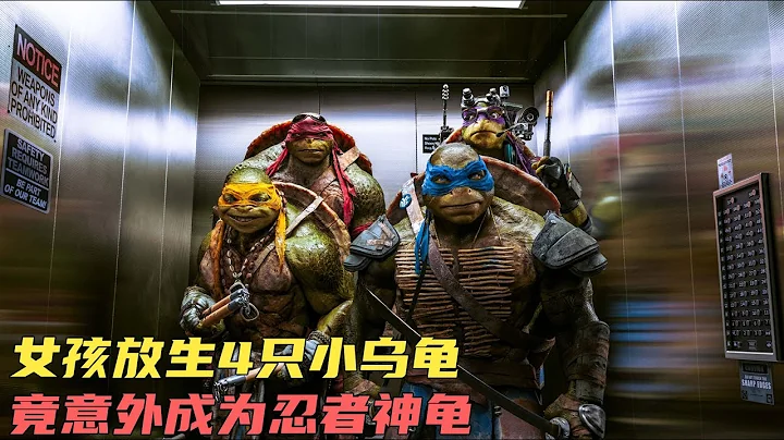 女孩放生了4隻小烏龜 竟意外的成為了神龜《忍者神龜》 - 天天要聞