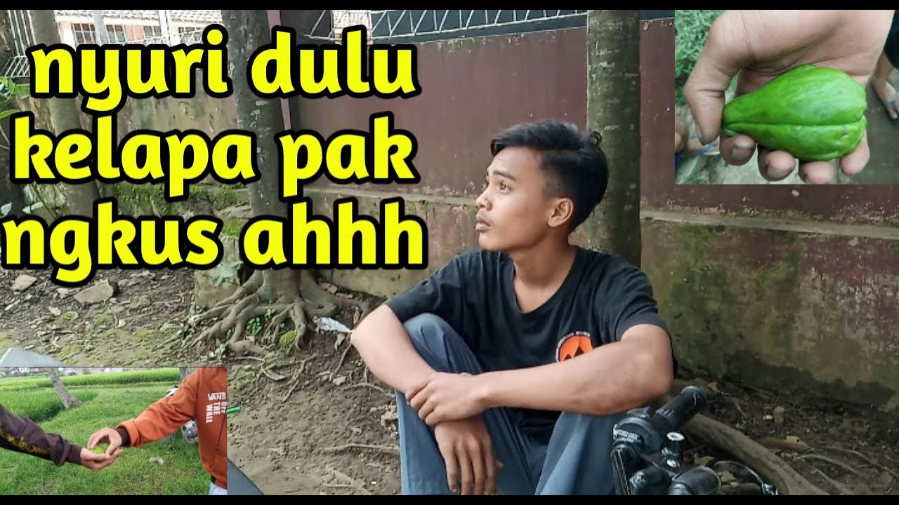 nyuri kelapa pak ngkus |#lucu 