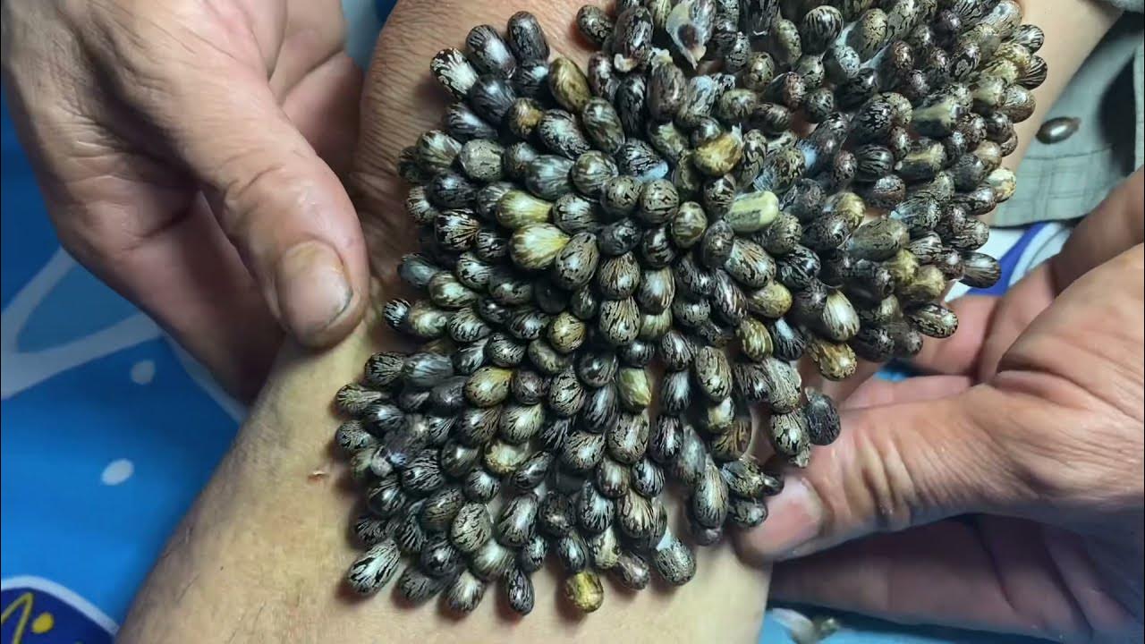 glue the beans together YouTube