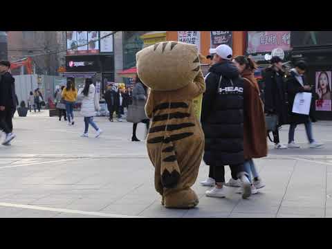 JHKTV] 신촌 명물고양이 아 심심해 나랑놀아  shin chon special cat Oh I&amp;#39;m <strong>bored</strong>, play with me
