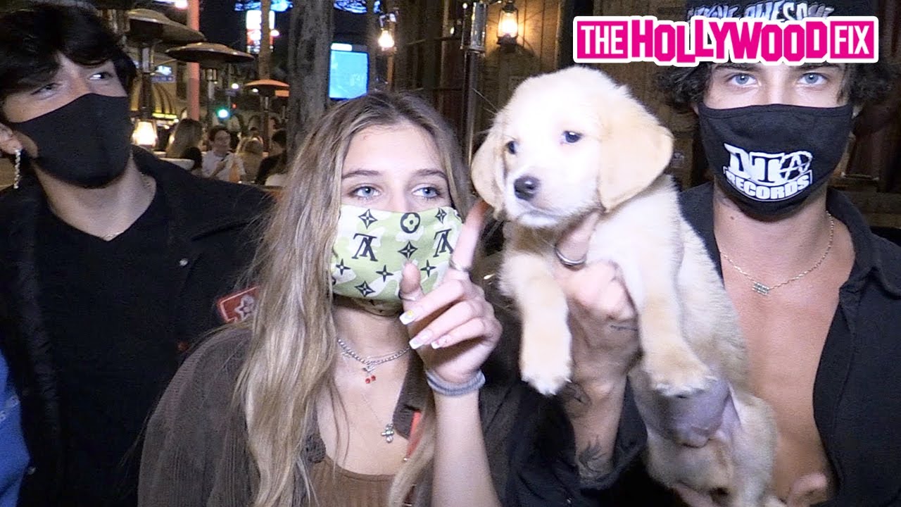 Джейден Хосслер, Мадс Льюис, Квинтон Григгс и Синтия Паркер рассказывают о новой песне «Juice» Pu...