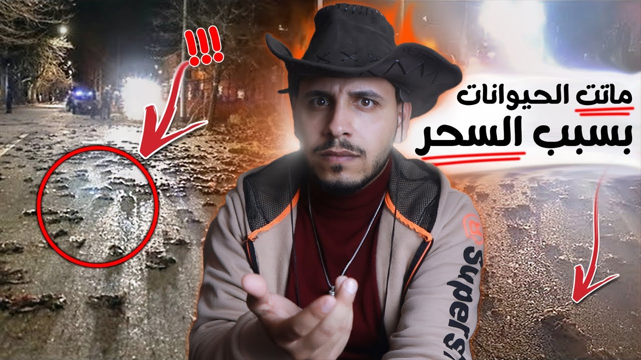 ساحر يسحر حي كامل وينشر الرعب في القرية قصص المتابعين