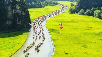 Sắc vàng Tam Cốc Tràng An 2023