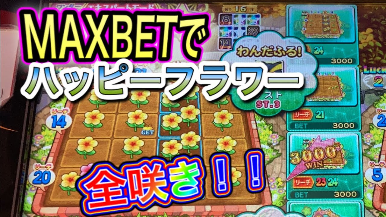 全国1位記録】MAXBETでフラワー全咲き！！一撃270000枚