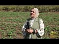 د نهى الدسوقي عالمة مصرية في قلب الأرض مع المزارعين