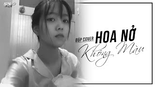 Hoa Nở Không Màu - Hoài Lâm (St : Nguyễn Mạnh Cường ) | Búp Cover