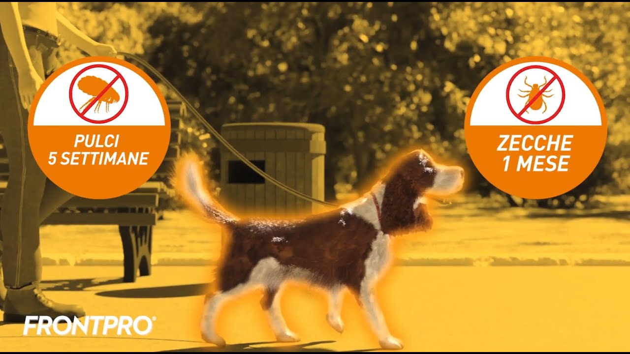 Meccanismo d'azione di FRONTPRO