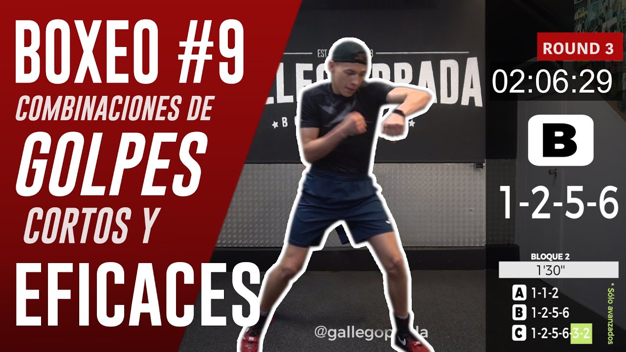 ๐ฅ ENTRENA BOXEO EN CASA #๐ต | ๐ฏ๐ฑ' ๐ฆ๐ฒ๐ฟ๐ถ๐ฒ๐ ๐ฑ๐ฒ ๐ด๐ผ๐น๐ฝ๐ฒ๐ ๐ฐ๐ผ๐ฟ๐๐ฎ๐ ๐ ๐ฒ๐ณ๐ฒ๐ฐ๐๐ถ๐๐ฎ๐