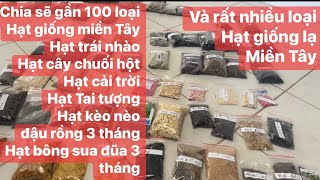 Chia sẽ gần 100 loại hạt giống.rất nhiều loại hạt giống của miền Tây mọc thiên nhiên cho mùa Xuân