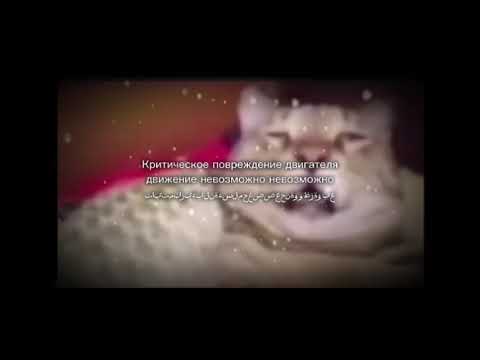 Мем с котом критическое повреждение двигателя