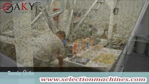 Color Sorter Machine - www.selectionmachines.com