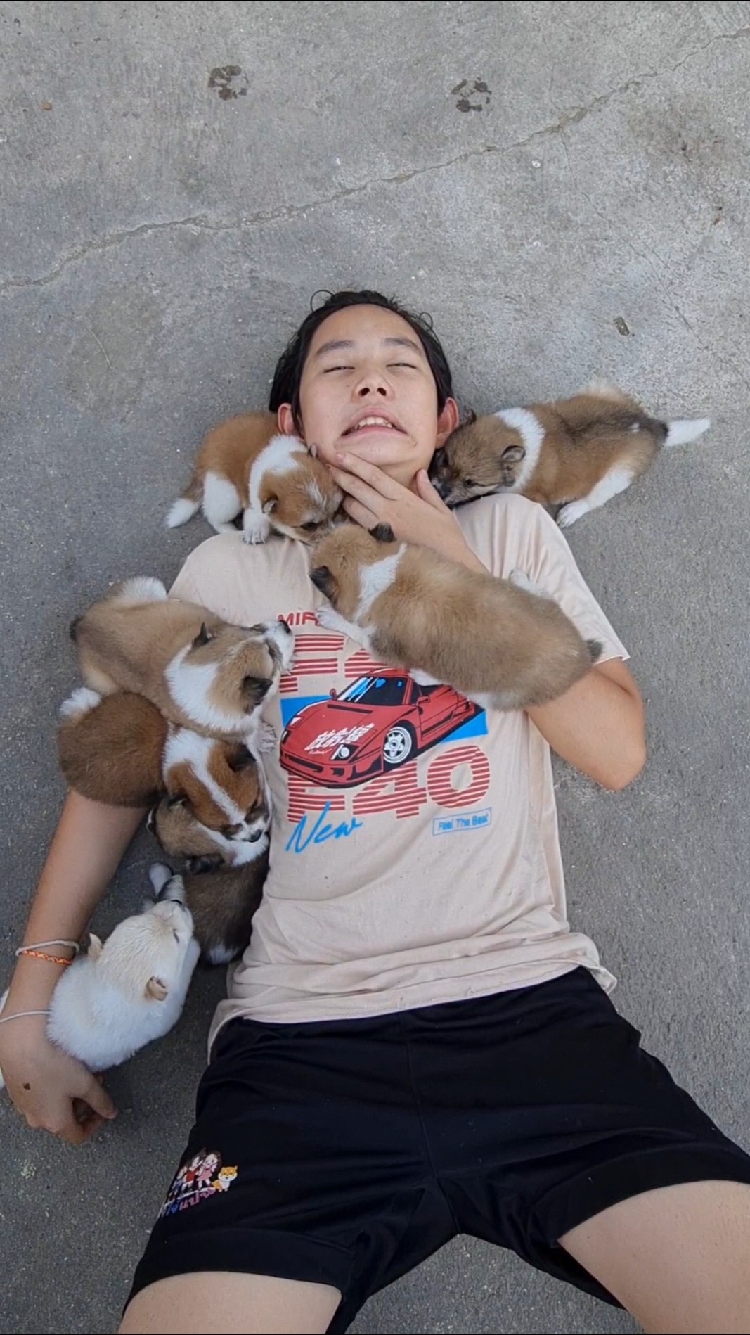 Puppy OR Kitten For X'mas Gift‼️ Choose? Funny | JJaiPan #shorts