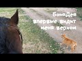 БонаДея впервые видит меня верхом