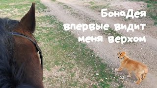 БонаДея впервые видит меня верхом