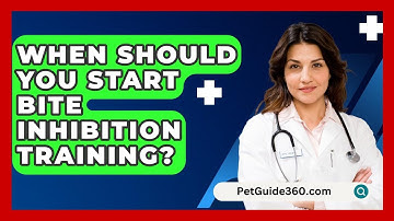 When Should You Start Bite Inhibition Training? - PetGuide360.com