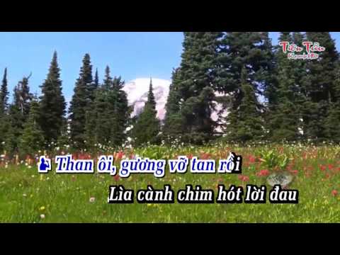 Cay Đắng Bờ Môi-Karaoke song ca-Quang Lê ft...