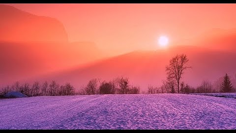 الجزء الثامن من   القرآن الكريم   بصوت الشيخ ياسر الدوسري#القران #اكسبلور #المصحف #ياسر_الدوسري