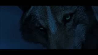 Тотем волка I Wolf Totem (2015)