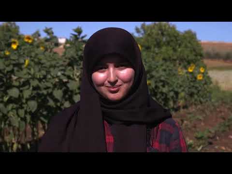 Gain Better Yields by Protecting Pollinators - Tajik