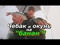 ПашАсУралмашА:-"Чебак и окунь на "банан""!