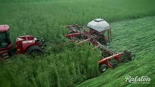 No-Till Regenerative Rice Farming