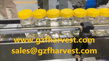 Bottle #capping machine with cap feeder,automaitc servo screw #capper machine for plastic container