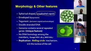 Herpes Viruses 1. A lecture with narrations and illustrations
