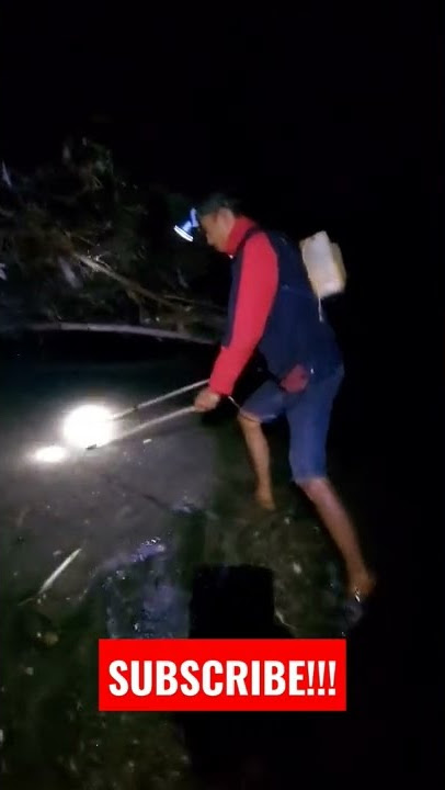 Setrum Udang di sungai hasilnya memuaskan!!! ⚡️🦞 #youtubeshorts
