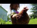 Myshire Farm - Butchering Poultry