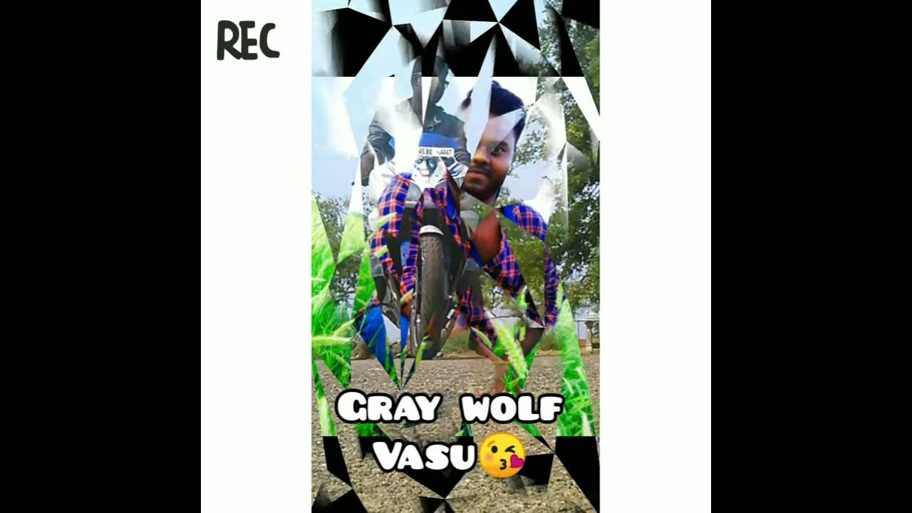 Gray wolf vasu anna love 😘😘 - YouTube